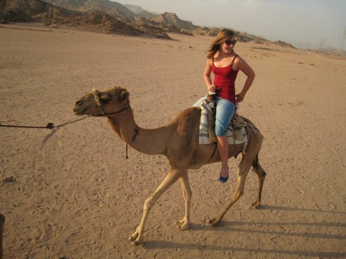 Quad kørsel, kamelridning og stjernekig i Sharm el Sheikh